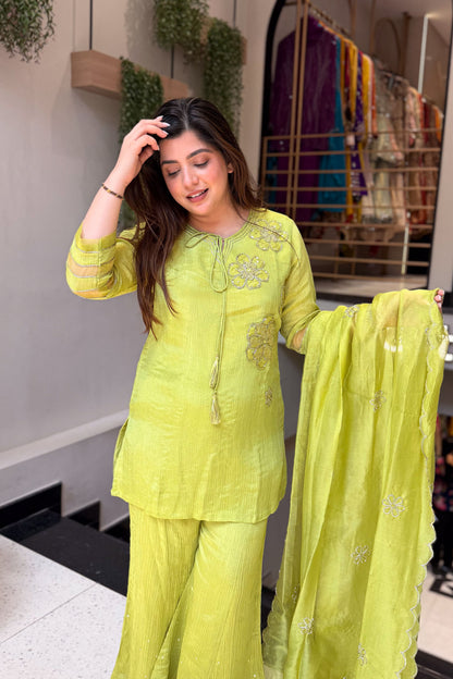 Priyal Floral Embroidered Suit Set