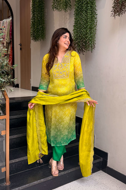 Inaara Embroidered Suit Set