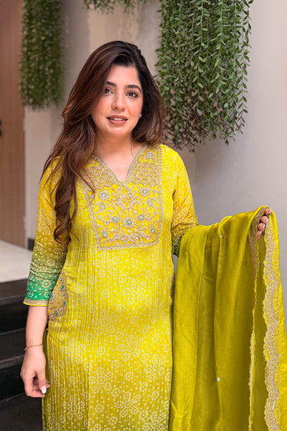 Inaara Embroidered Suit Set