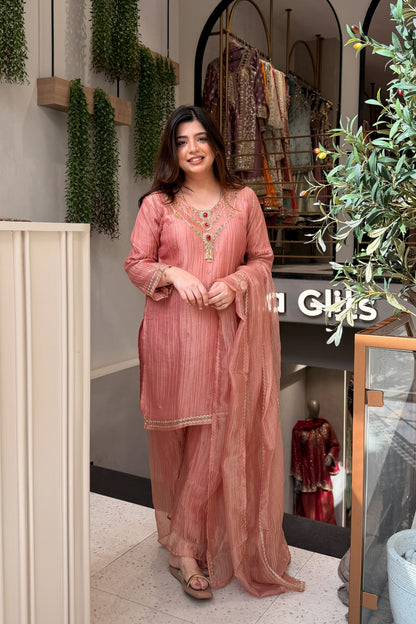 Anara Hand Embroidered Suit Set
