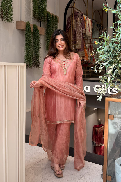 Anara Hand Embroidered Suit Set