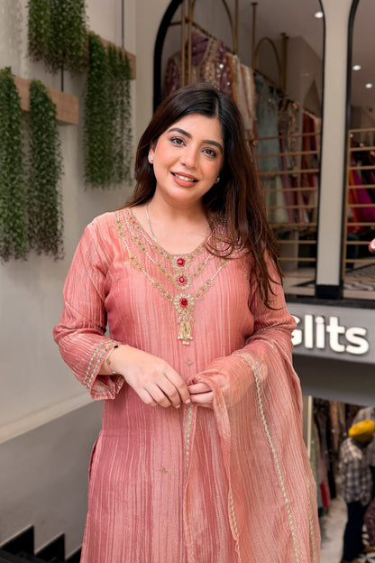 Anara Hand Embroidered Suit Set