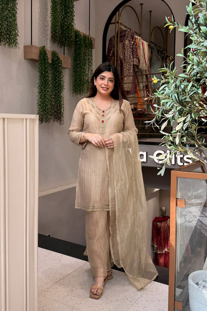 Anara Hand Embroidered Suit Set