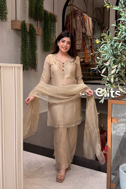 Anara Hand Embroidered Suit Set