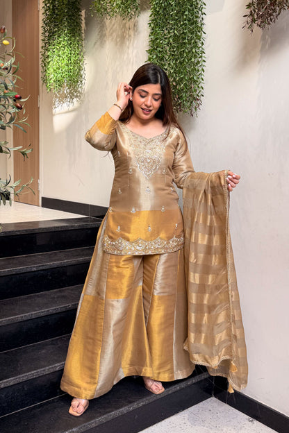 Veya Hand Embroidered Suit Set