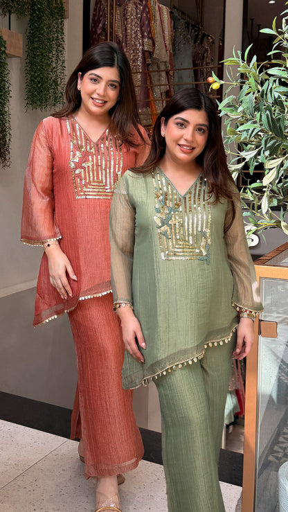 Vrini Sequin Embroidered Co ord Set
