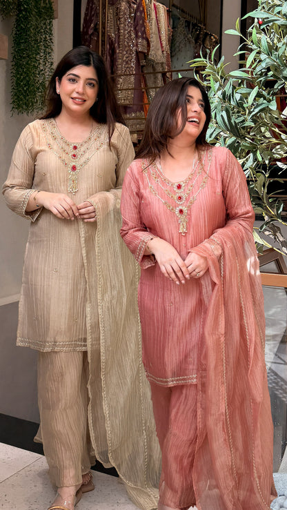 Anara Hand Embroidered Suit Set