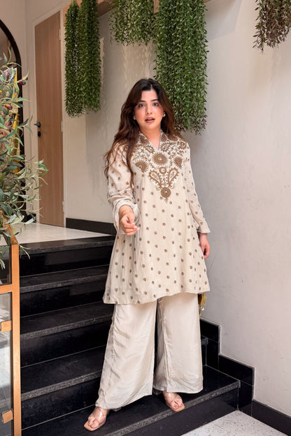 Aahira Hand Embroidered Co ord Set