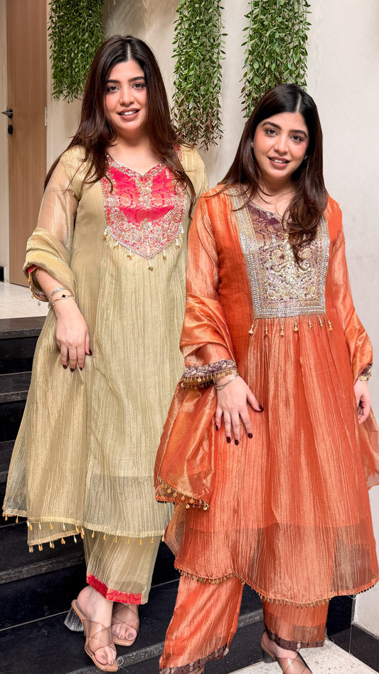 Ashnoor Embroidered Suit Set
