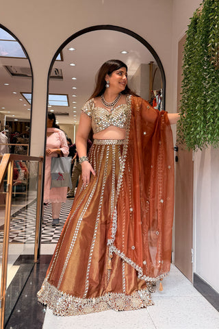 Lavika Hand Embroidered Lehenga