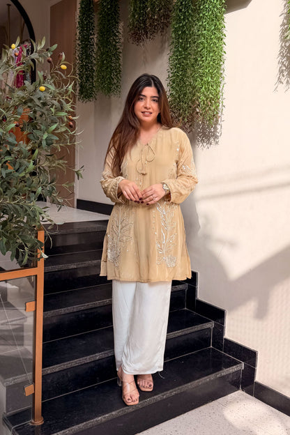 Ridhika Embroidered Co ord Set