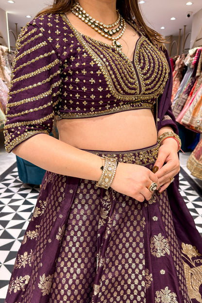 Rudra Purple Embroidered Silk Lehenga