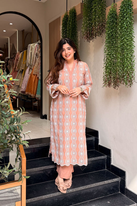 Vihaani Schiffli Work Co ord Set