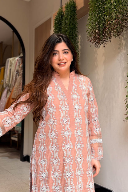 Vihaani Schiffli Work Co ord Set