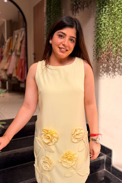 Willow Flower Patch Detailing Dress