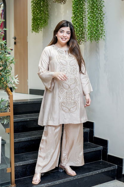 Swara Embroidered Co ord Set