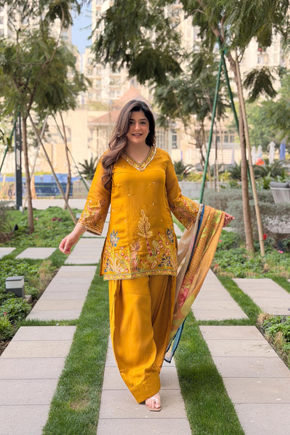 Rameesha Embroidered Farshi Salwar Set