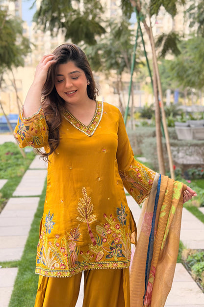 Rameesha Embroidered Farshi Salwar Set