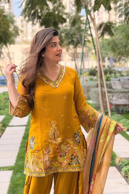 Rameesha Embroidered Farshi Salwar Set