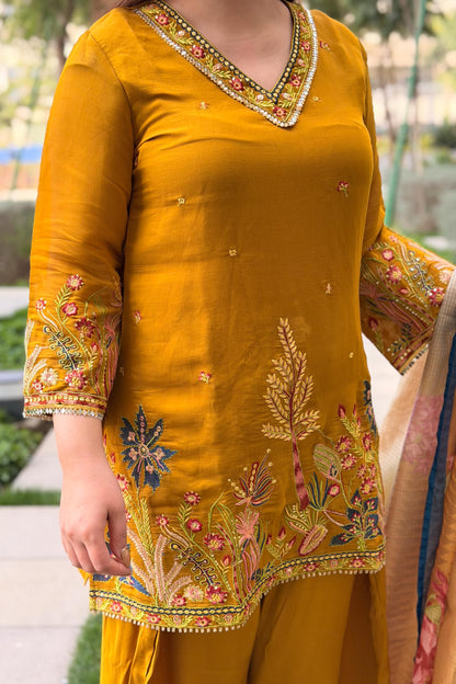 Rameesha Embroidered Farshi Salwar Set