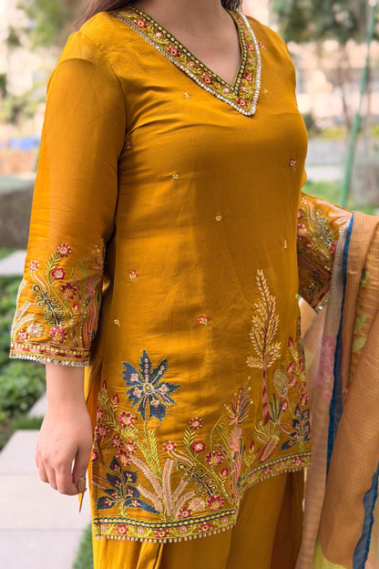 Rameesha Embroidered Farshi Salwar Set