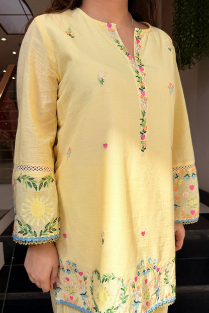 Sharvari Thread Work Co ord Set