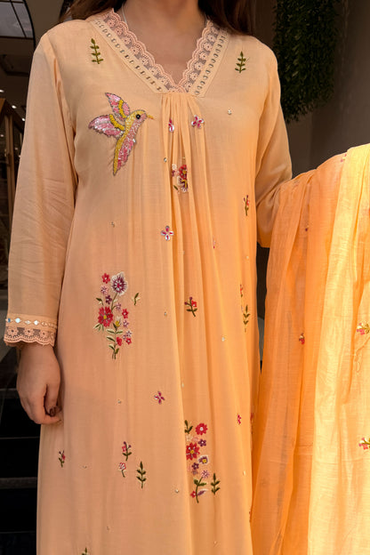Aafreen Embroidered Suit Set