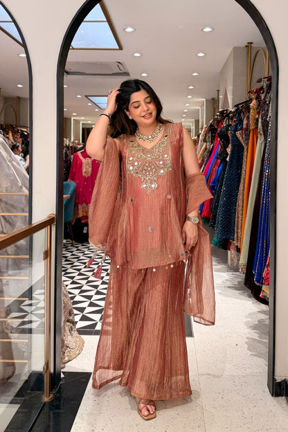 Tulika Embroidered Tissue Suit Set