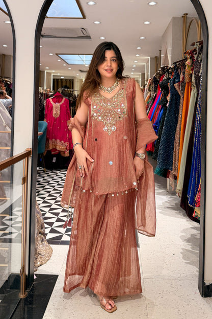 Tulika Embroidered Tissue Suit Set
