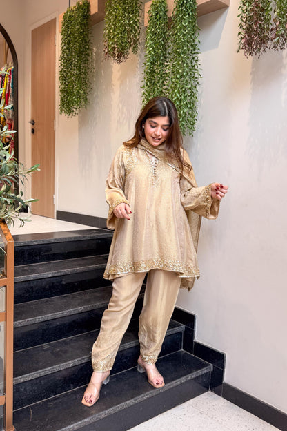 Meheja Hand Embroidered Short Anarkali Set