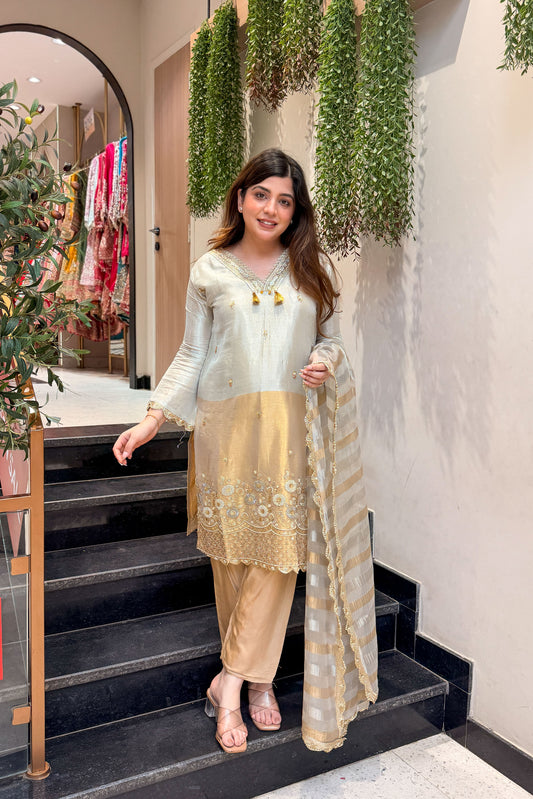 Sarini Hand Embroidered Suit Set