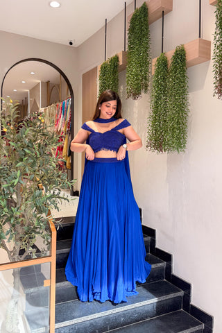 Zarveen Hand Embroidered Lehenga