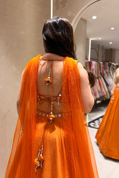 Arisha Hand Embroidered Lehenga