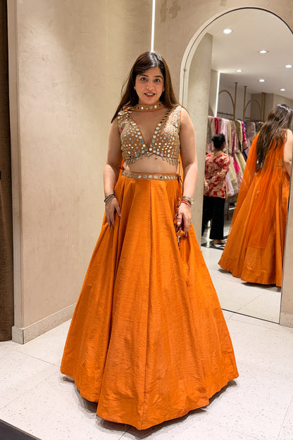 Arisha Hand Embroidered Lehenga
