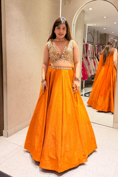 Arisha Hand Embroidered Lehenga