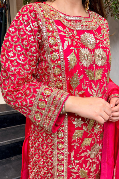 Nirvaya Embroidered Suit Set