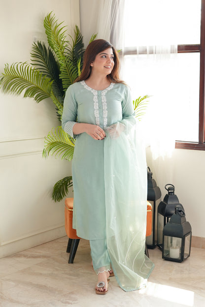 Pastel Green Embroidred Silk Suit