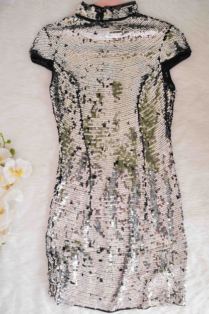Silver Sequence Shimmery Dress