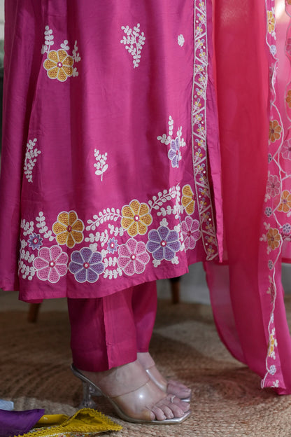 Mreeyal Pink Embroidered A line Silk Suit