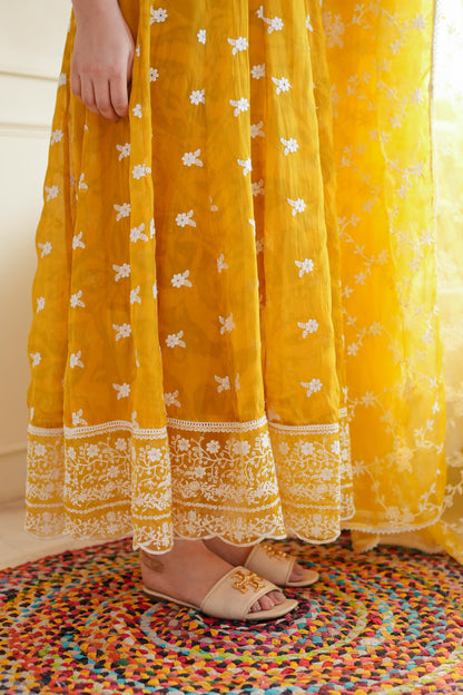 Faroza Yellow Schiffli Anarkali Suit Set