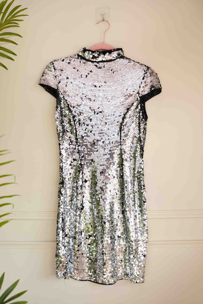 Silver Sequence Shimmery Dress