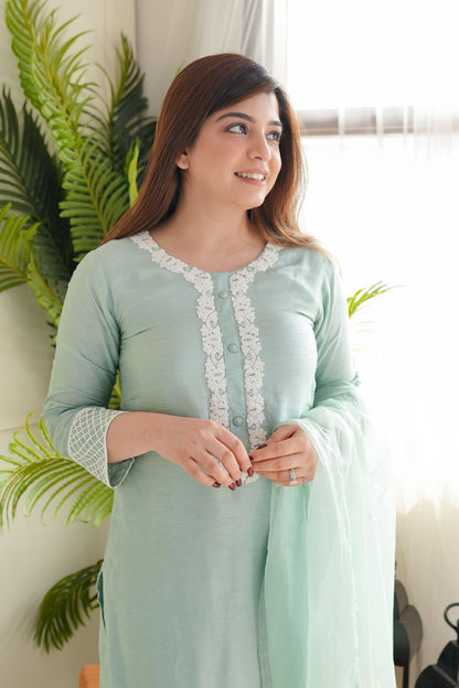 Pastel Green Embroidred Silk Suit